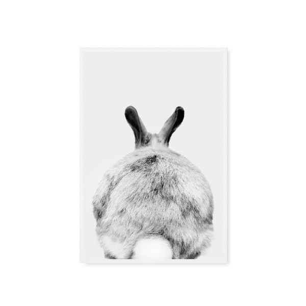 Tafelgut, Karte "Rabbit", Fotographie